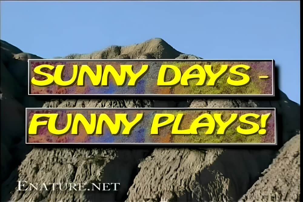 Enature - Sunny Days – Funny Plays - Visit a nudist beach